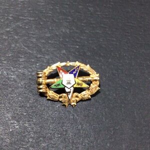 Vintage Order of the Eastern Star Lapel Enamel Pin, Past Matron Jewel